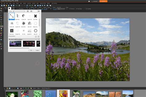 Corel PaintShop Pro Ultimate 2025 Free Download Trial
